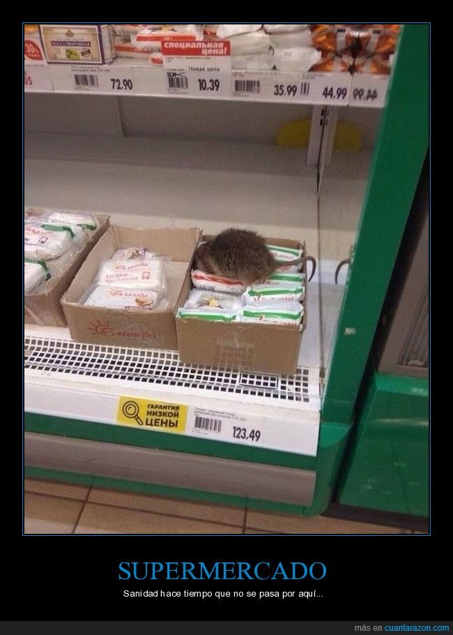 supermercado,rata,wtf