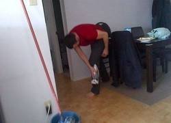 Enlace a Vida de soltero