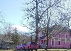 Enlace a Cuando vives en un mundo de color de rosa