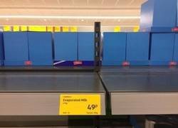 Enlace a No, no se ha agotado.