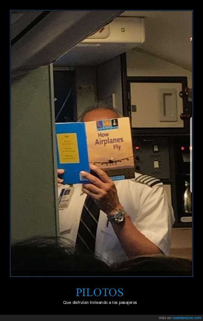 piloto,leyendo,libro,pilotar,avión