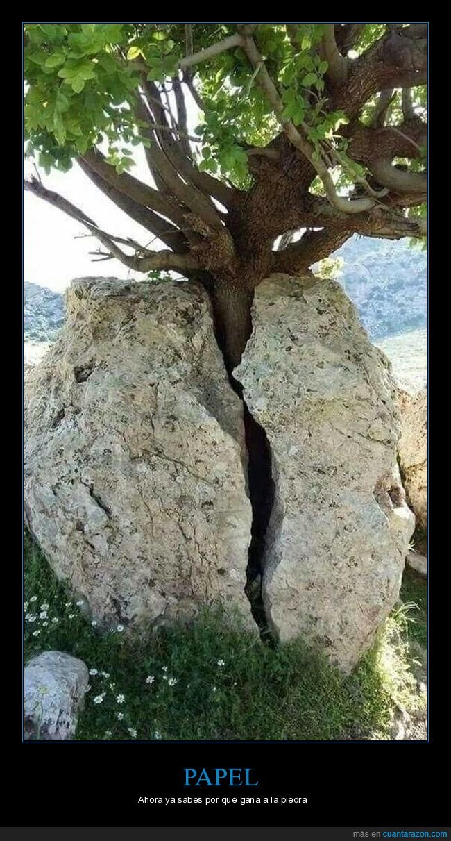 piedra papel tijera,roca,árbol