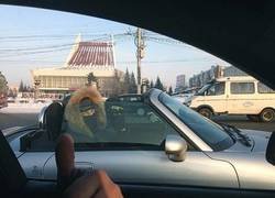 Enlace a ¿Te gusta conducir?