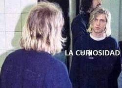Enlace a Cuando la curiosidad y el gato son lo mismo