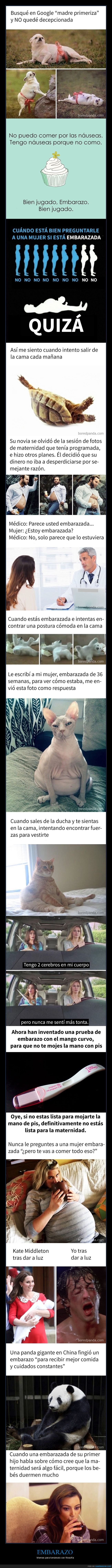 embarazo,memes