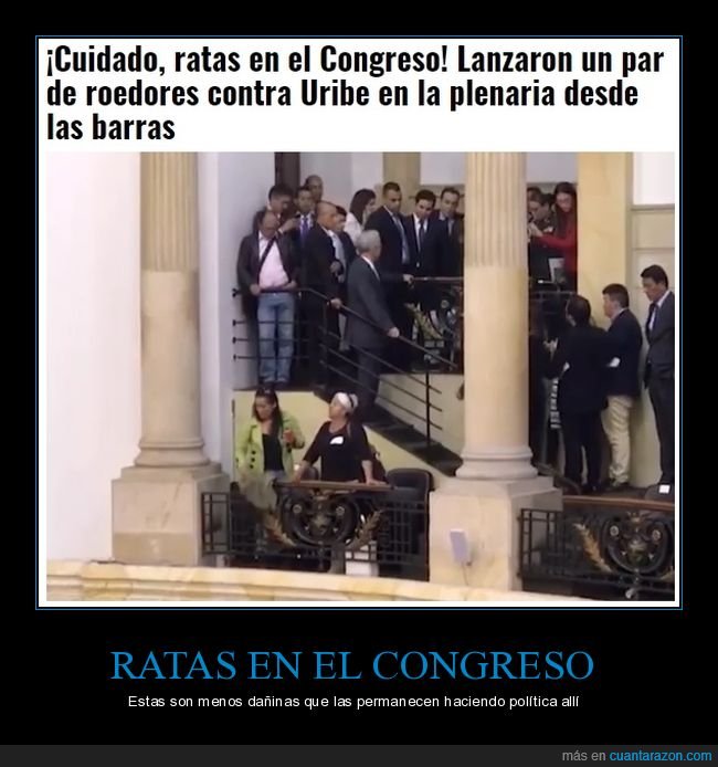 ratas,congreso,colombia,uribe,políticos