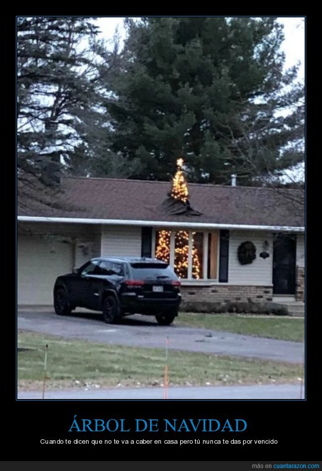 árbol de navidad,casa,tejado,wtf