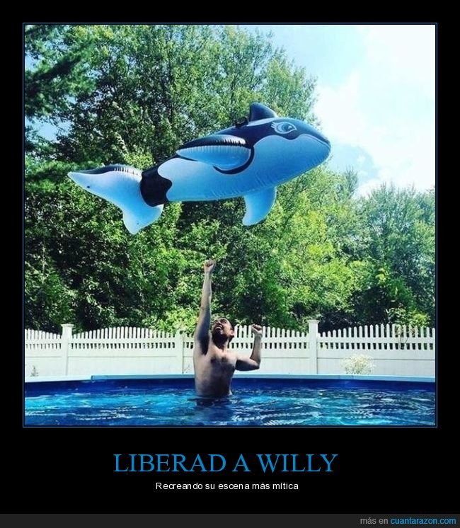 hinchable,liberad a willy,orca,piscina,recreando