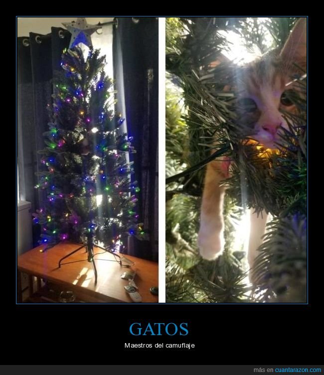 árbol de navidad,gatos,camuflado