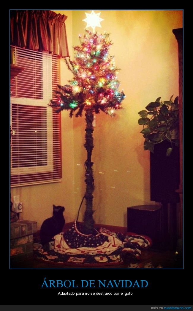 árbol de navidad,gatos,alto