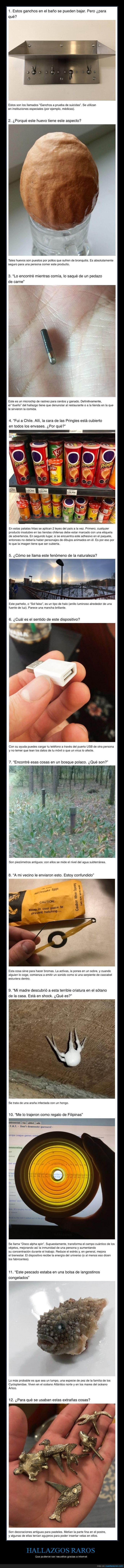 hallazgos,explicaciones,curiosidades