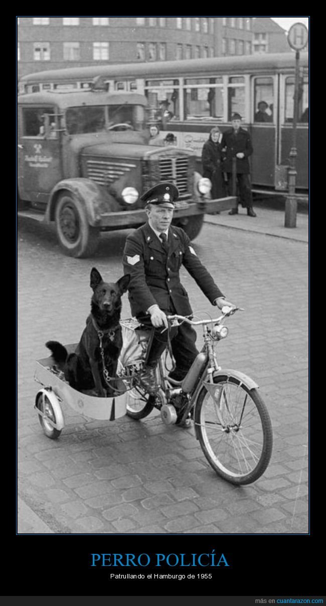 perro,policía,bicicleta,sidecar,hamburgo,retro