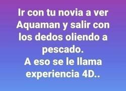 Enlace a Una experiencia completa