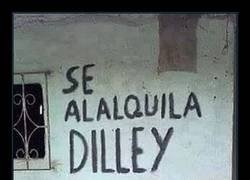 Enlace a De los creadores de 