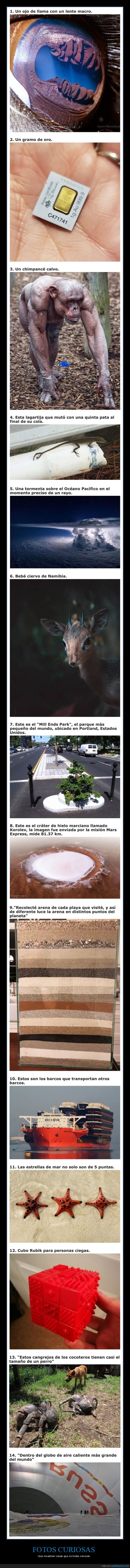 curiosidades,sabías que