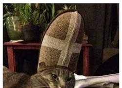 Enlace a Gato eclesiástico