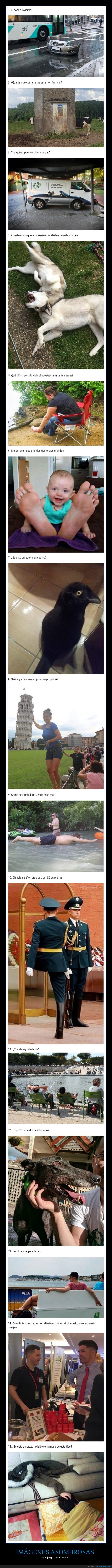 mindfuck,wtf