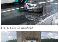 Enlace a Imágenes asombrosas que jugarán con tu mente y tendrás que verlas más de dos veces