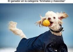 Enlace a Cómo cambia el tiempo: las fotos que un jurado nombró como las mejores fotos de Instagram de 2018