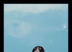 Enlace a El portero de un club muy exclusivo