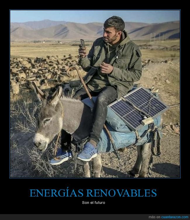 burro,paneles solares,wtf
