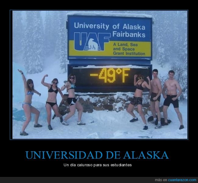 alaska,estudiantes,universidad,frío