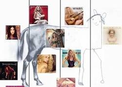Enlace a La evolución musical de Shakira