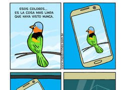 Enlace a La vida es color