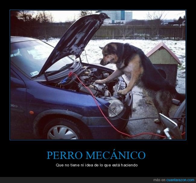 perros,coche,mecánico