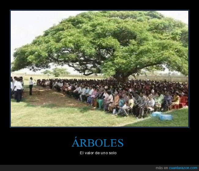 árbol,valor,sombra