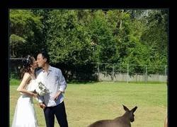 Enlace a Love is in the air