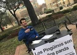 Enlace a Su lógica es aplastante