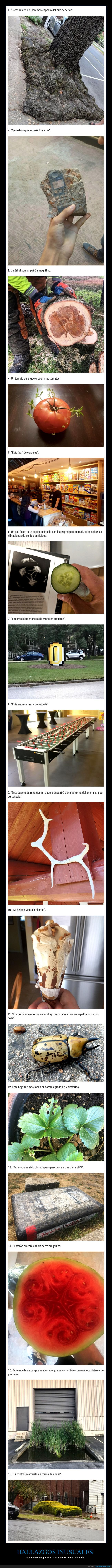 hallazgos,inusuales,wtf