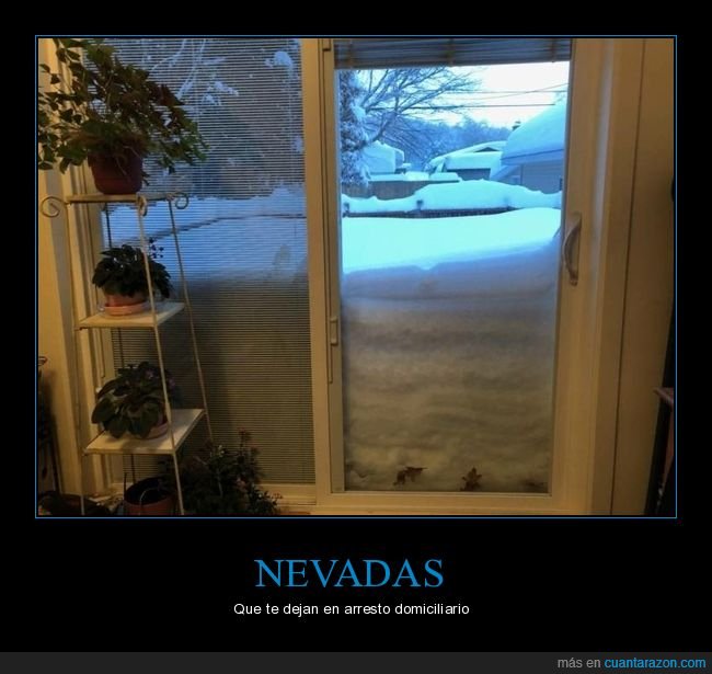 nevada,nieve,casa,puerta