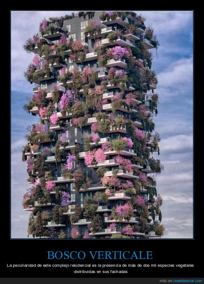 bosco verticale,edificio,plantas,vegetación