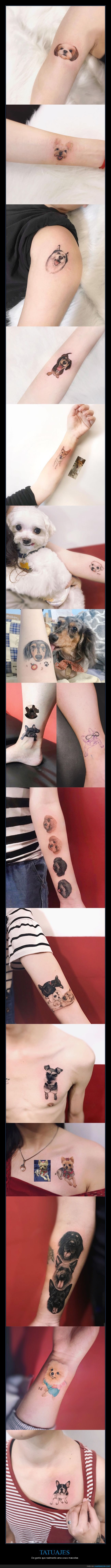 tatuajes,mascotas,perros