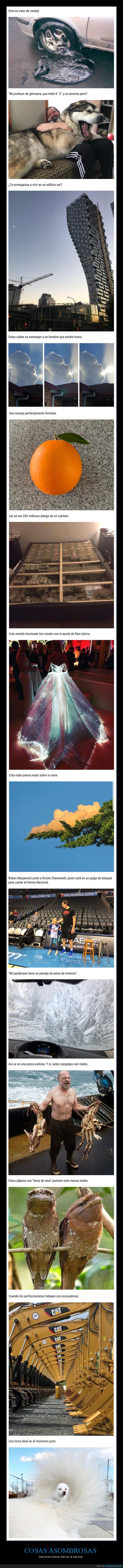 cosas asombrosas,wtf