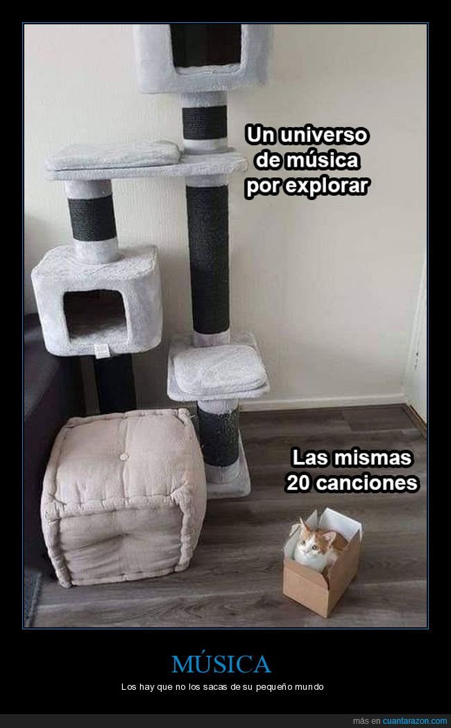 música,explorar,canciones,gatos,caja