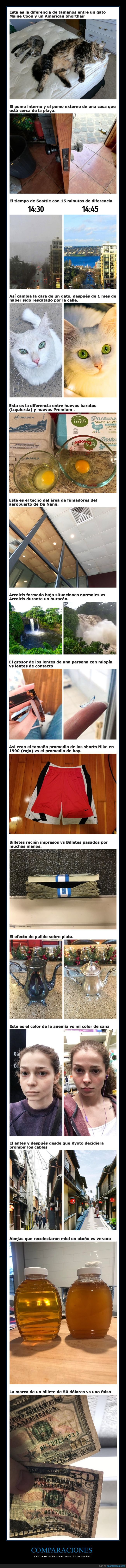 compraciones,curiosidades