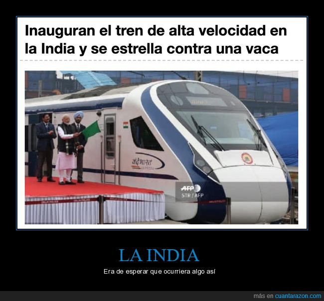 inauguración,tren,alta velocidad,india,vaca,fails