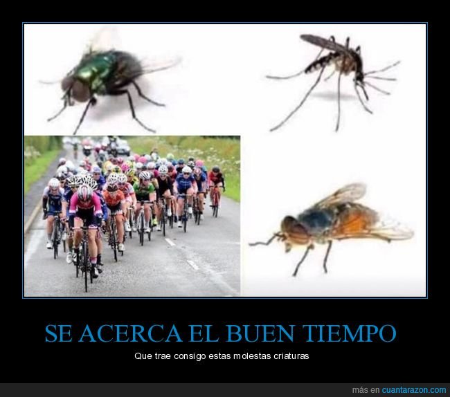 buen tiempo,molestos,insectos,ciclistas