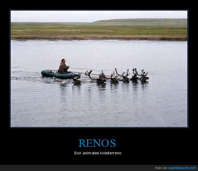 renos,barca,agua,wtf