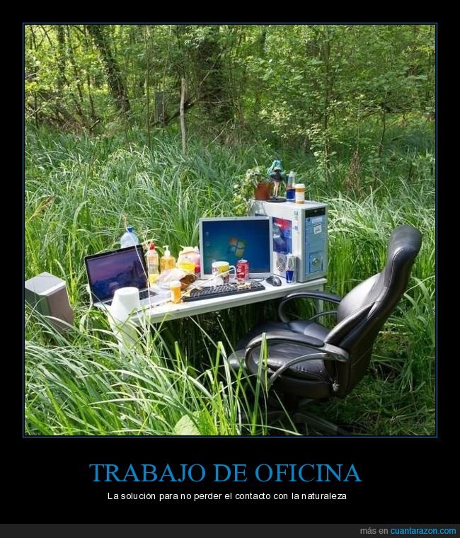 trabajo,oficina,naturaleza