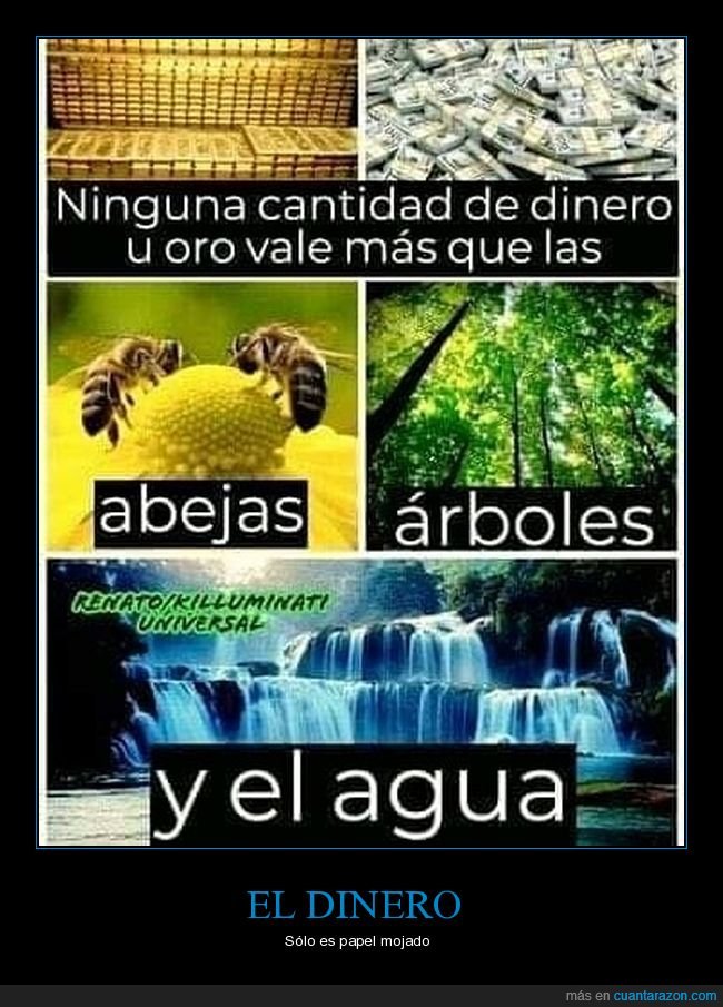 dinero,abejas,árboles,agua,valor