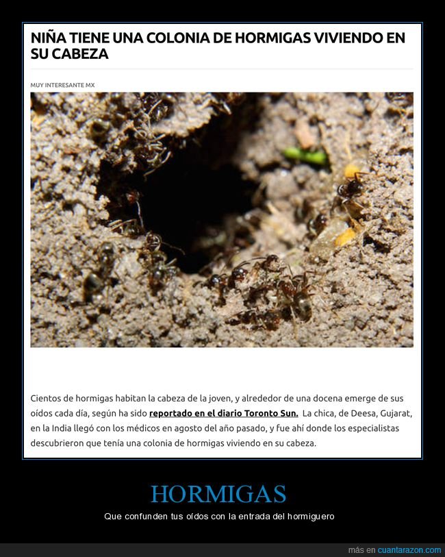 niña,hormigas,cabeza