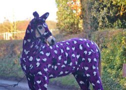 Enlace a Despojando a los caballos de su dignidad