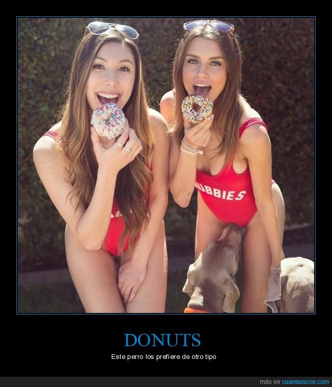 donuts,chicas,perro