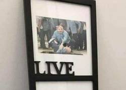 Enlace a Vive, ríe y ama.