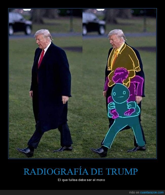 donald trump,cuerpo,políticos