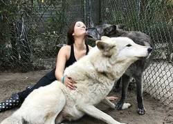 Enlace a Jugando con lobos